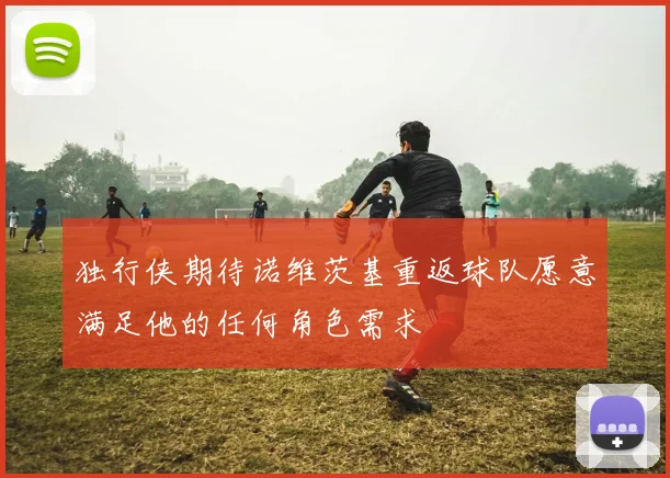独行侠期待诺维茨基重返球队愿意满足他的任何角色需求