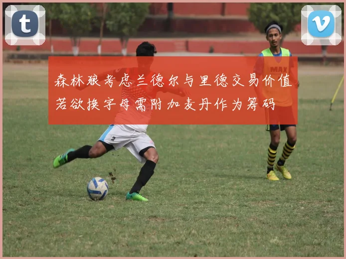 森林狼考虑兰德尔与里德交易价值若欲换字母需附加麦丹作为筹码