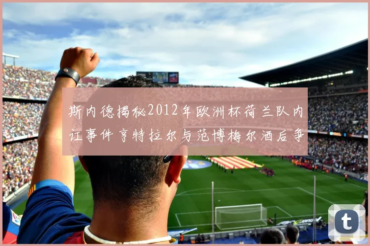 斯内德揭秘2012年欧洲杯荷兰队内讧事件亨特拉尔与范博梅尔酒后争执内幕