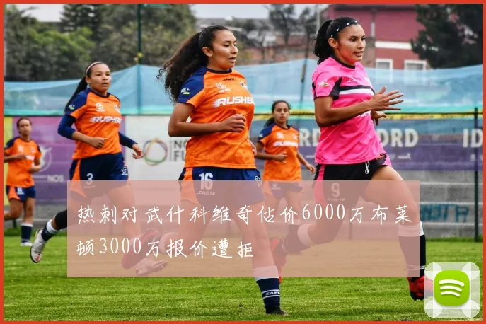热刺对武什科维奇估价6000万布莱顿3000万报价遭拒