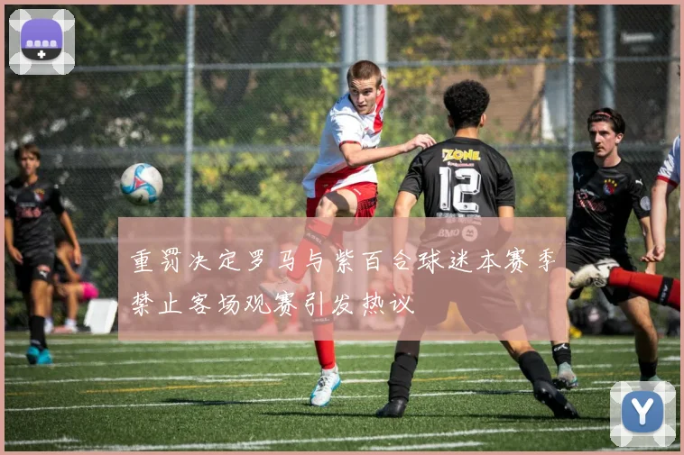 重罚决定罗马与紫百合球迷本赛季禁止客场观赛引发热议